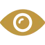 vision